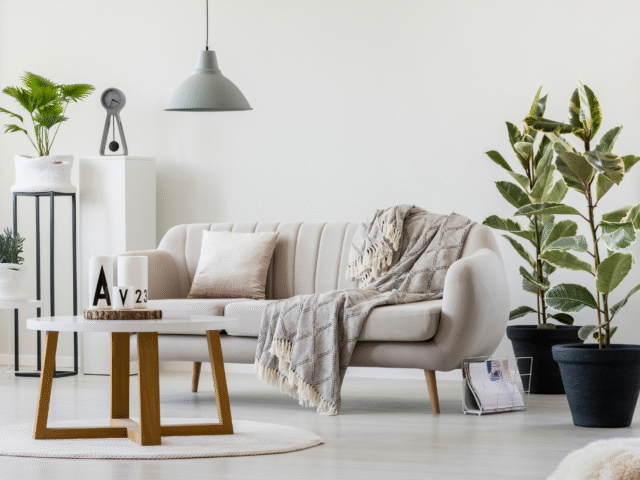 How Professional Cleaning Can Extend the Life of Your Furniture and Flooring